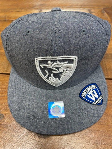 USF Bulls Grey Flat Bill Hat