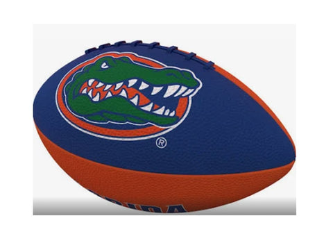 Florida Gators Pinwheel Junior Size Footballs