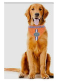 Florida Gators Reversible Pet Bandana (Orange)