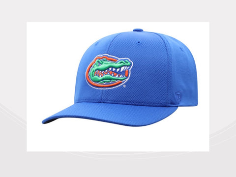 Florida Gators Blue FlexFit Hat