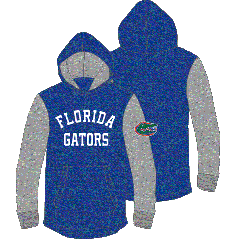 Florida Gators Boys Lightweight Legend Hoodie