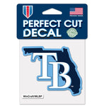 Tampa Bay Rays State Shape Perfect Cut 4X4 Decal
